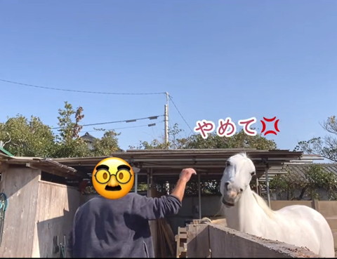 やめてテロップ