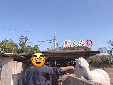 触んなテロップ