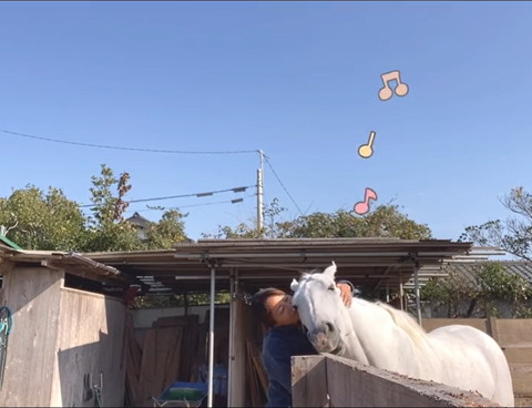 顔を寄せ合うママさんと馬