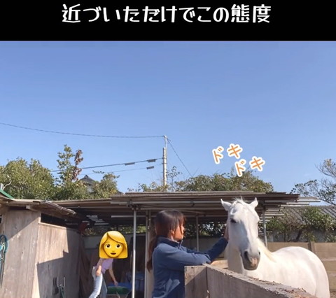 近づいただけでこの態度テロップ