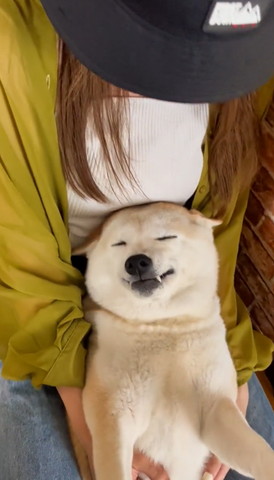 抱っこされてるワンコ正面