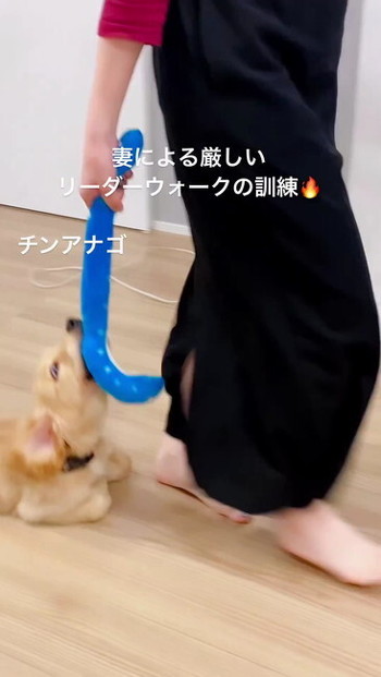 ククナさん