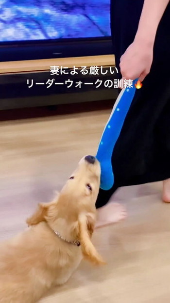 床すべるククナさん