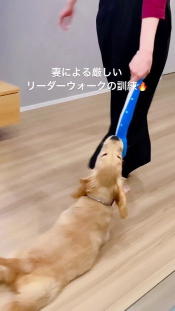 すべるククナさん背後から