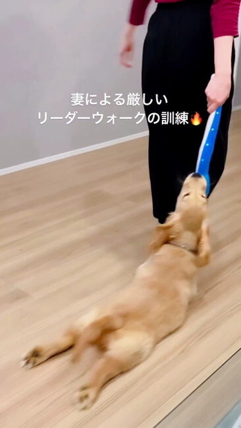 楽しそうなククナさん
