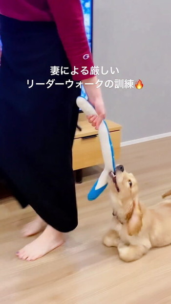 ドヤ顔のククナさん