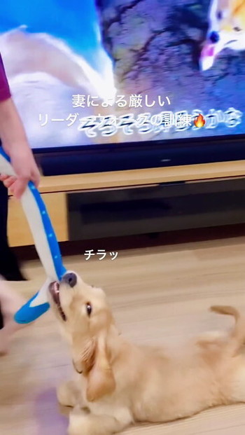 ククナさん横顔