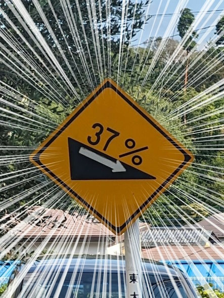 びっくり道路選手権