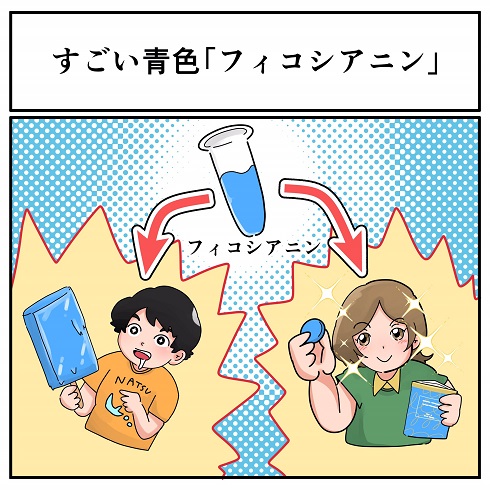 フィコシアニンがさまざまな商品に使われているイラスト ／ 【PR】DIC株式会社