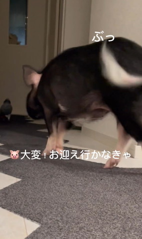 大変お迎えいかなきゃテロップ