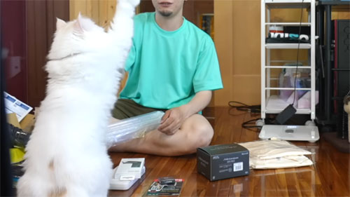 遊ぶパールくん