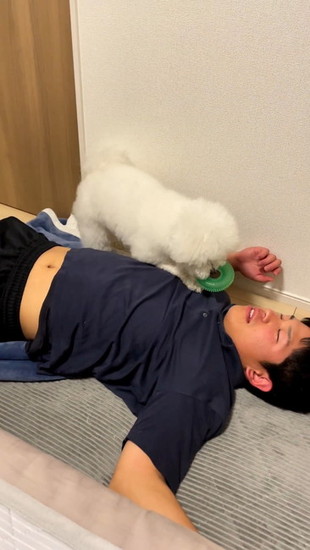 オモチャをくわえた犬