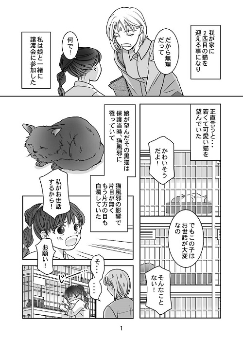 猫漫画1