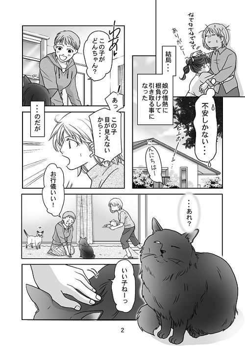 猫漫画2