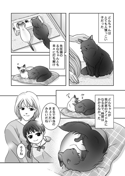 猫漫画3