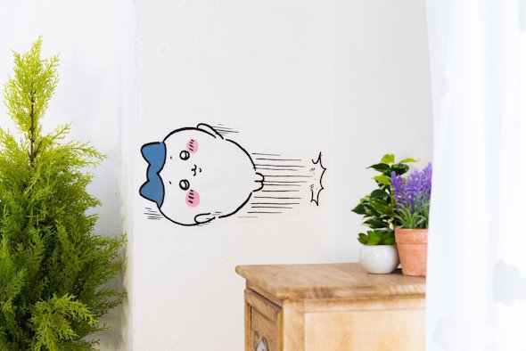 壁を蹴るハチワレ