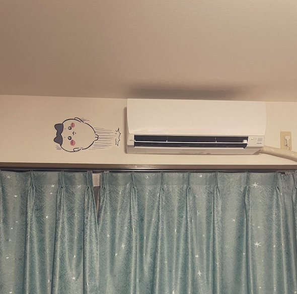 壁を蹴るハチワレ