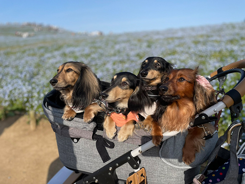 お友達と海浜公園
