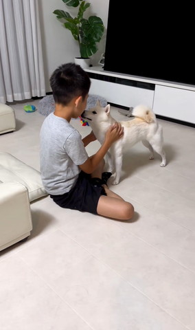 口のにおいをかぐワンコ遠目