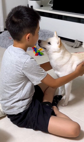 顔を斜めにして口のにおいをかぐワンコアップ