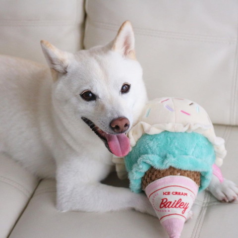 アイスとワンコ