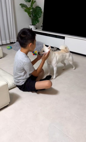 ワンコのお顔に手添えてる息子さん