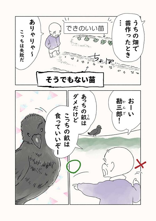カラス漫画4