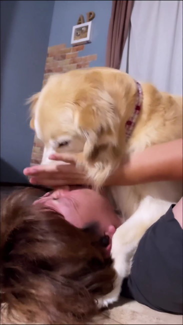 手でガードお兄ちゃん