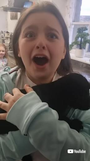 子犬サプライズ