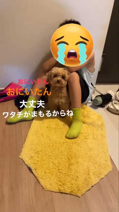 叱られるお兄ちゃんを守る犬