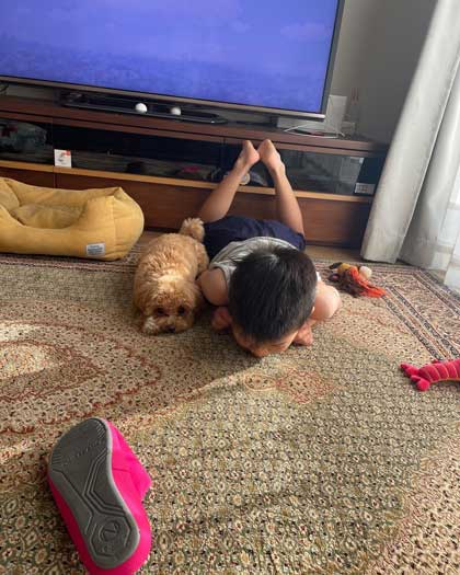 叱られるお兄ちゃんを守る犬