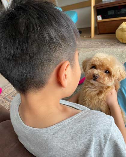 叱られるお兄ちゃんを守る犬