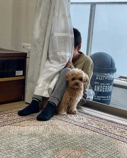 叱られるお兄ちゃんを守る犬