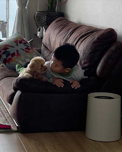 叱られるお兄ちゃんを守る犬