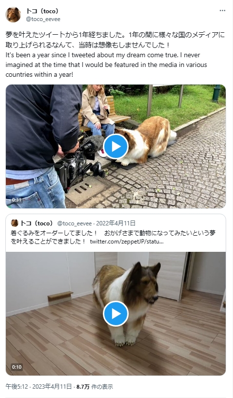 着ぐるみでコリーになってみた人、世界へ