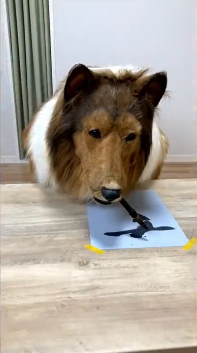 着ぐるみでコリーになってみた人、世界へ