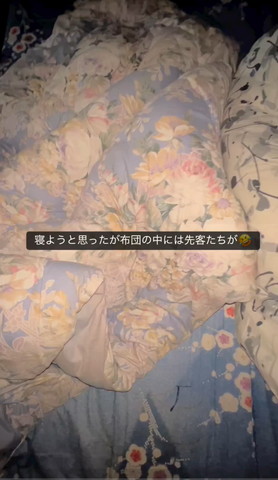 愛犬たち