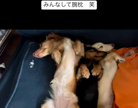 みんなして腕枕テロップ