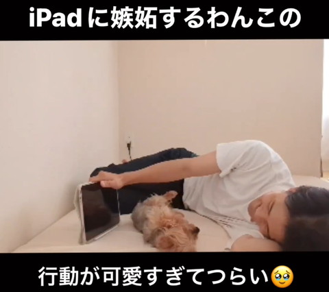 ごろんするワンコと笑顔のパパさん