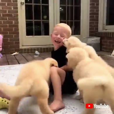 男の子のほっぺにキスする子犬