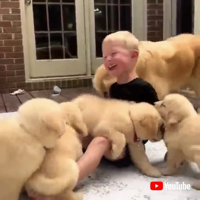 ゴールデンレトリバーと男の子