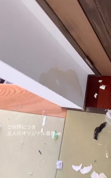壁紙ボロボロ