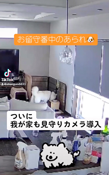 お留守番