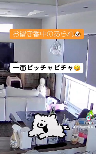 びちゃびちゃするワンコ