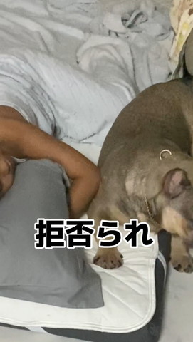 拒否られテロップ