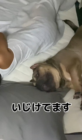 いじけてますテロップ