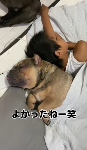 よかったねテロップ