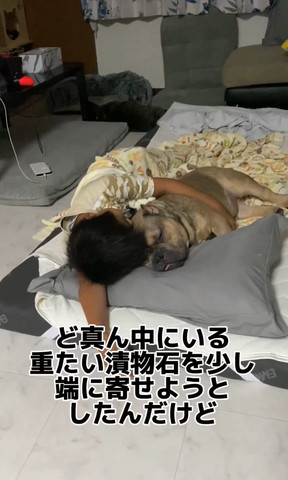 ど真ん中にいる重たい漬物石テロップ