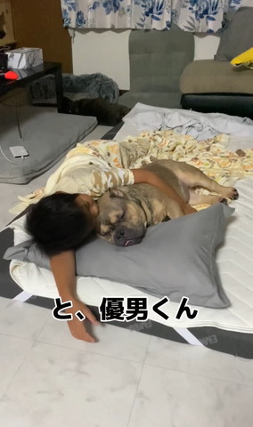 優男くんテロップ