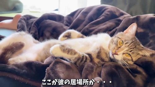 居場所